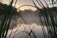 lake_mist